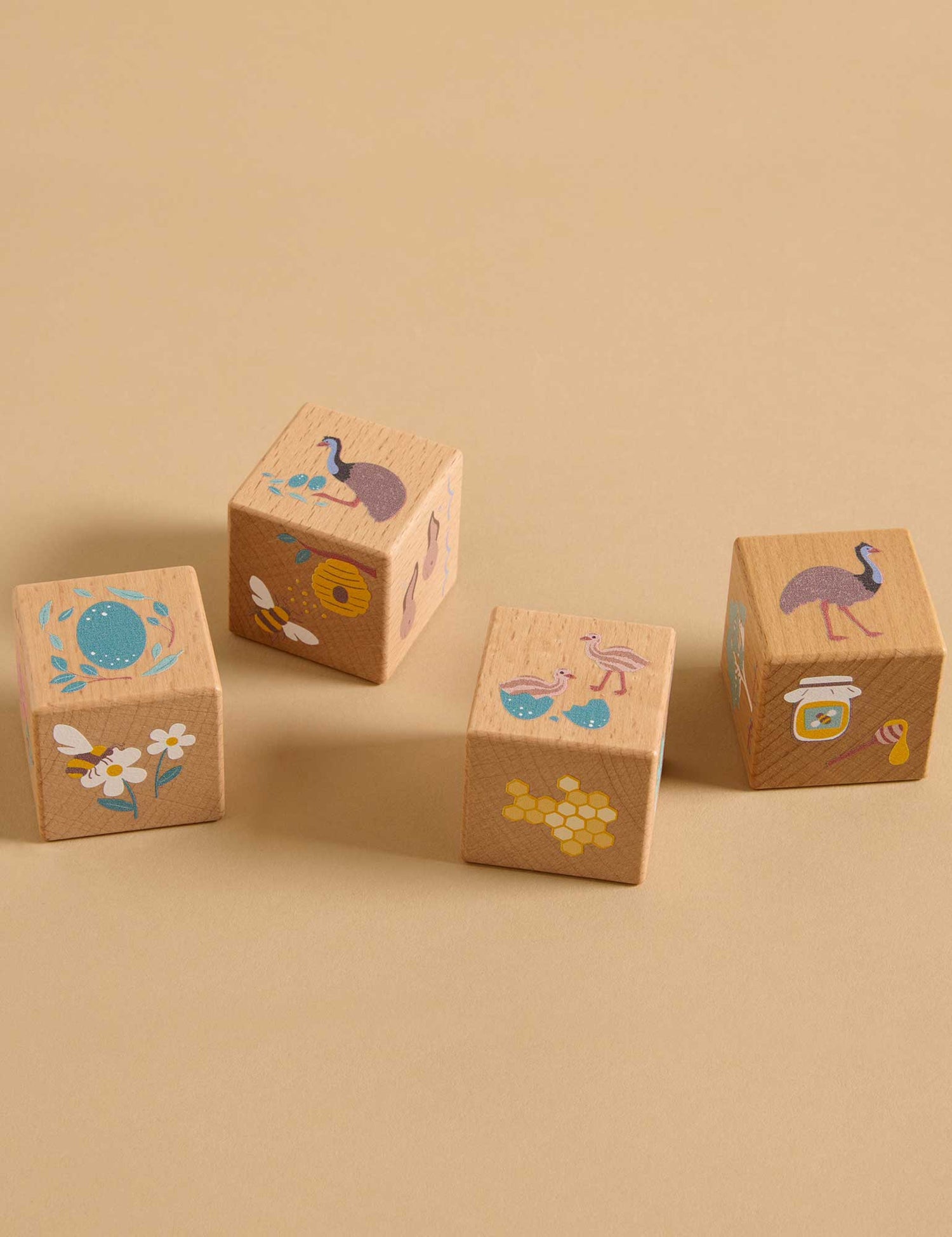 Wooden Nature Life Cycle Blocks
