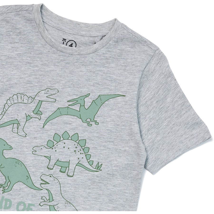 Kids Dinosaur Print Tee | Grey Marle