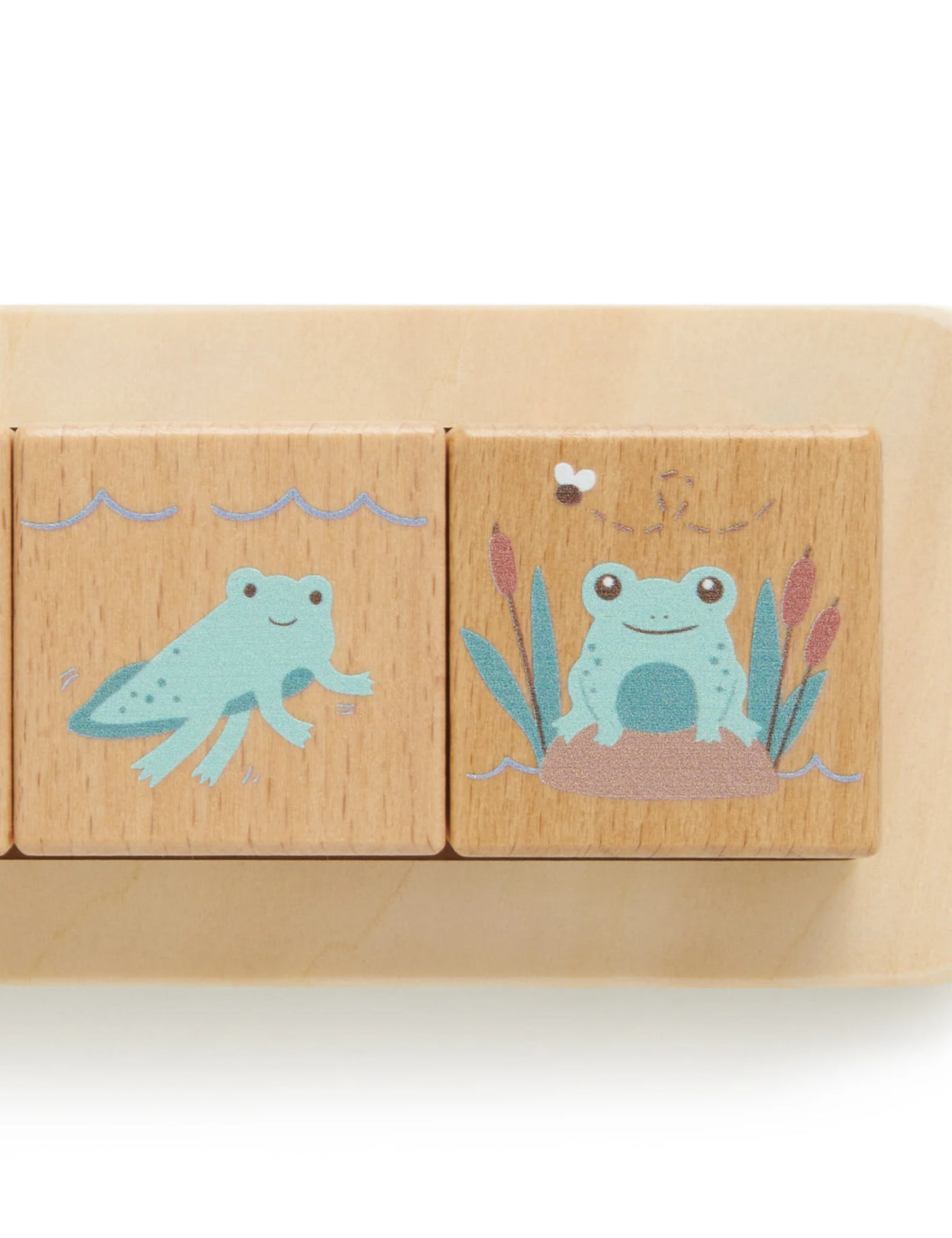 Wooden Nature Life Cycle Blocks