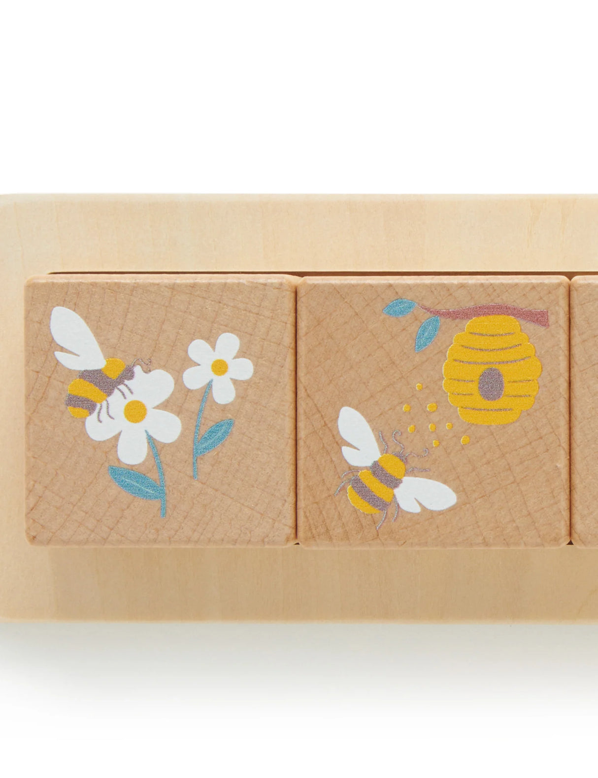 Wooden Nature Life Cycle Blocks