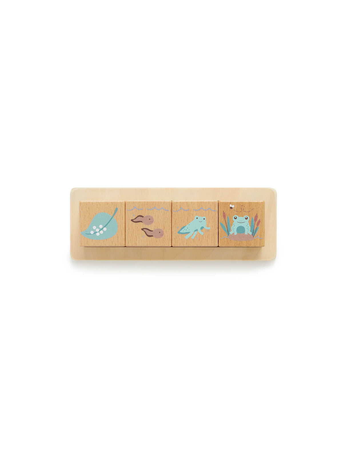 Wooden Nature Life Cycle Blocks