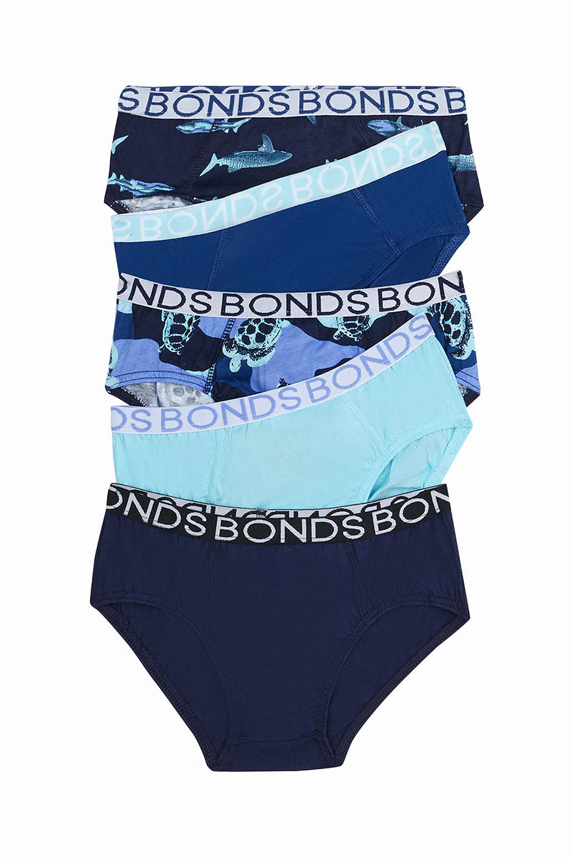 Boys Brief 5 Pack | Turtle Shark Blue Multi