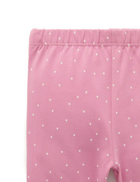 Bike Shorts | Fig Mini Spot