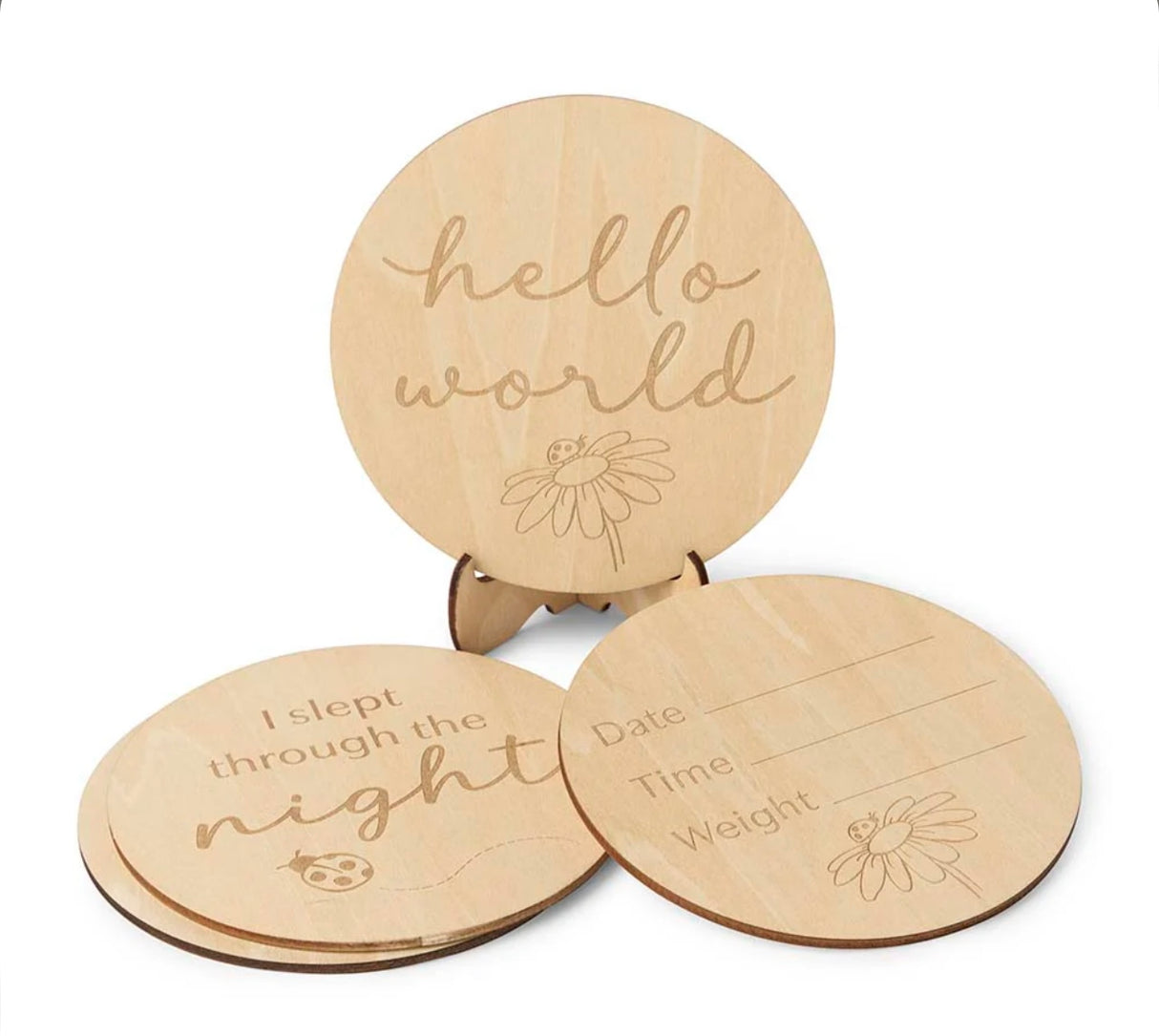 Wooden Milestone Cards | Ladybug