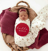 Organic Muslin Wrap | Ladybug