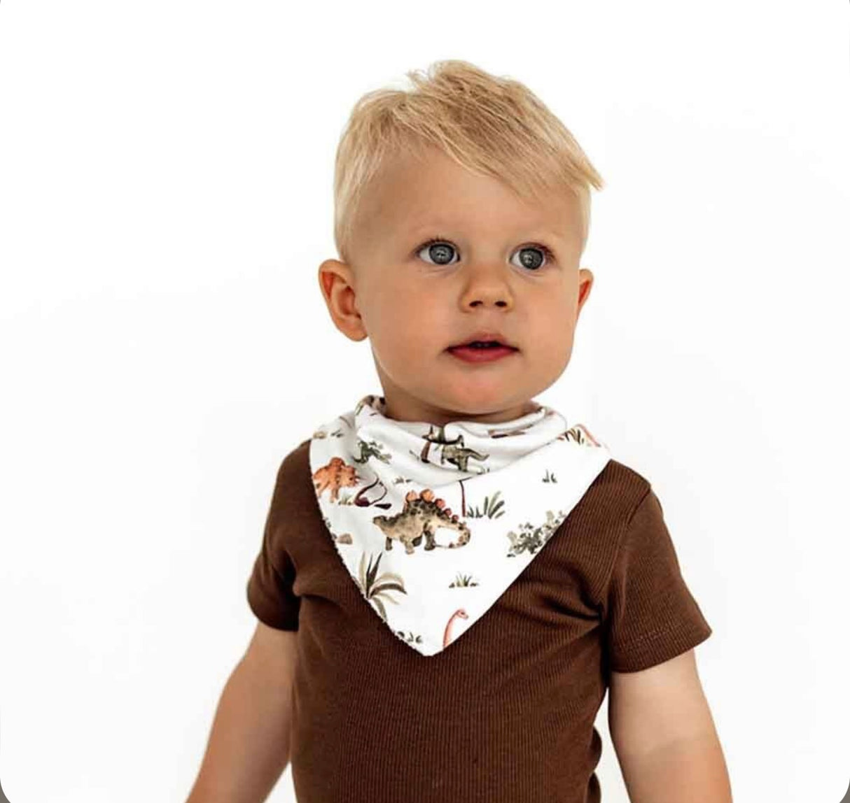 Organic Dribble Bib | Dino