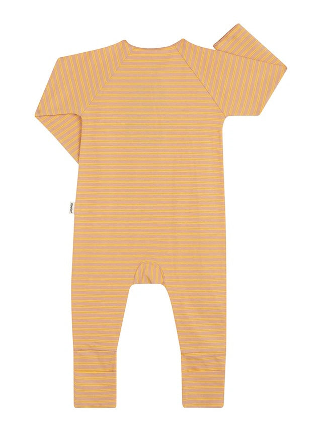 Newbies Cozysuit | Spiced Honey & Saffron