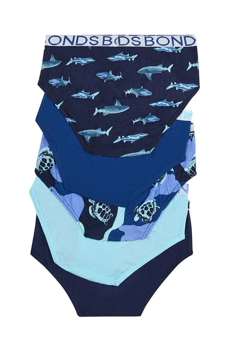 Boys Brief 5 Pack | Turtle Shark Blue Multi