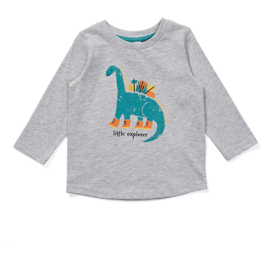 Organic Cotton Dinosaur Playtime Tee | Grey