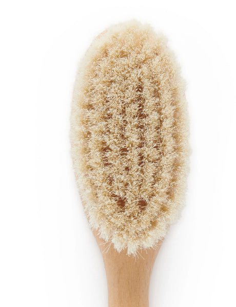 Goat Hair Brush