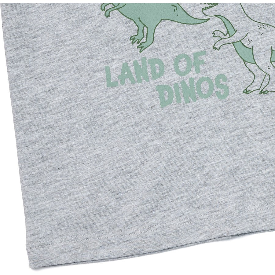 Kids Dinosaur Print Tee | Grey Marle