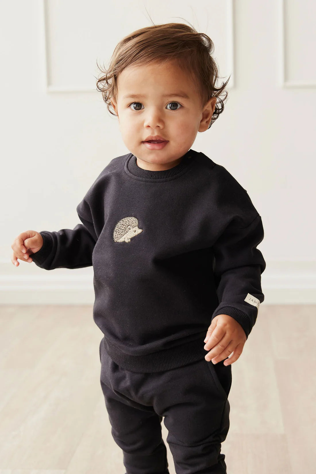 Organic Cotton Damien Sweatshirt | Constellation Hedgehog