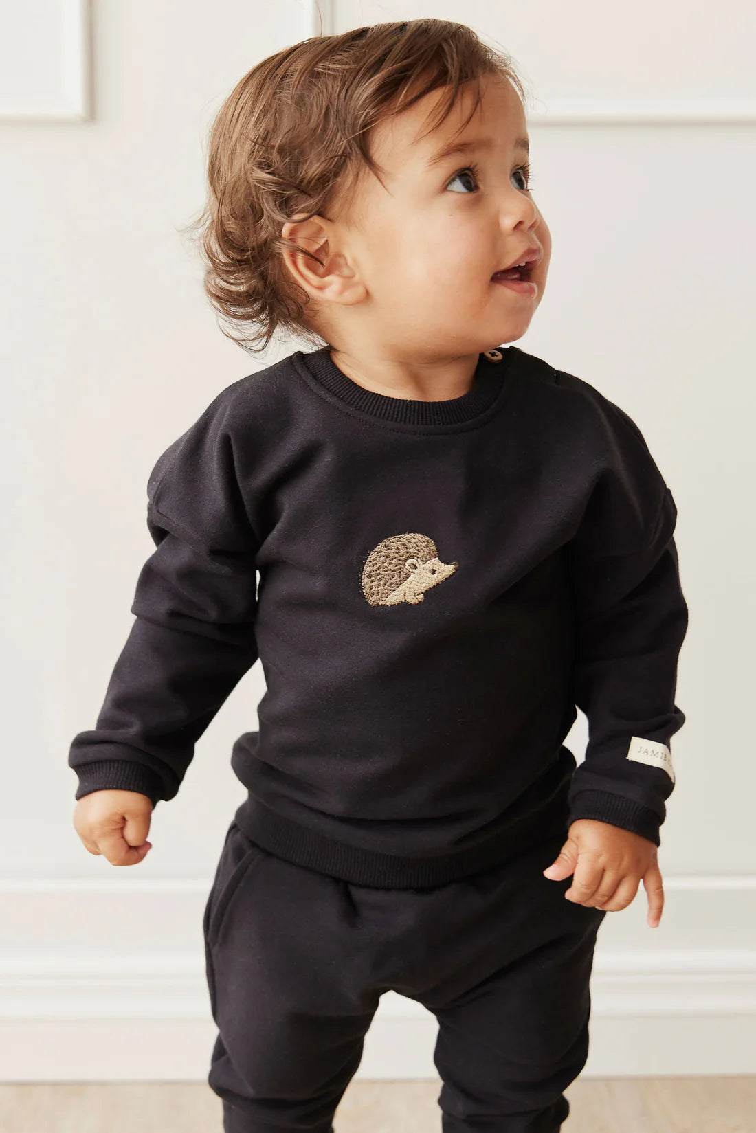 Organic Cotton Damien Sweatshirt | Constellation Hedgehog