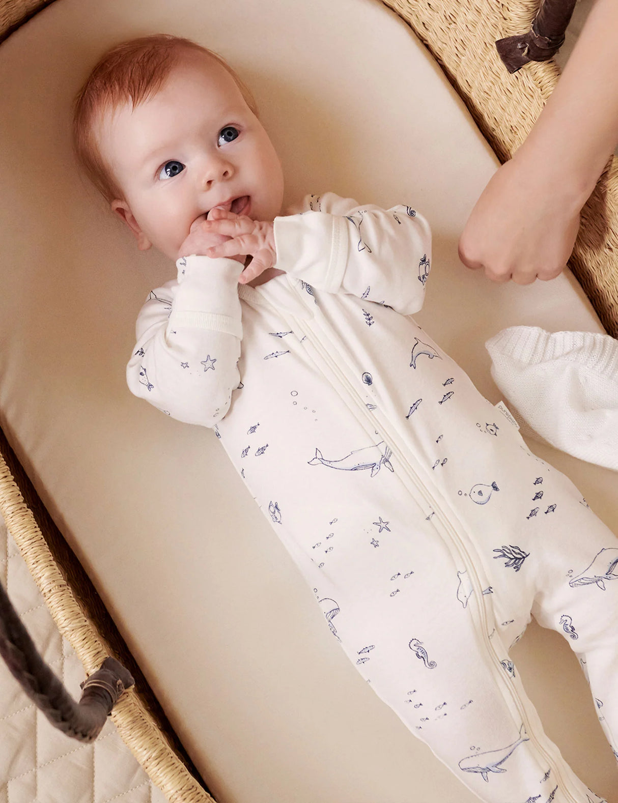 4 Pack Zip Growsuit | Vanilla Nautical
