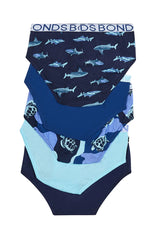 Boys Brief 5 Pack | Turtle Shark Blue Multi