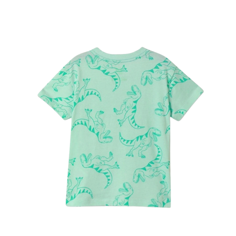 Printed T-Shirt | Dinosaur  Mint